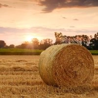 La SAFER doit suffisamment motiver ses d&eacute;cisions de r&eacute;trocession