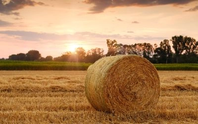 La SAFER doit suffisamment motiver ses d&eacute;cisions de r&eacute;trocession