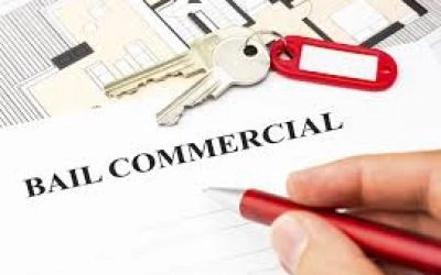 Bail commercial et diversification de l&rsquo;activit&eacute;