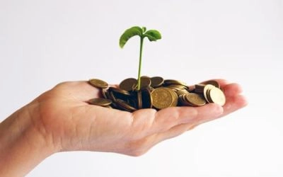 Placements financiers risqu&eacute;s : le tr&eacute;sorier d&rsquo;une association et la banque reconnus responsables