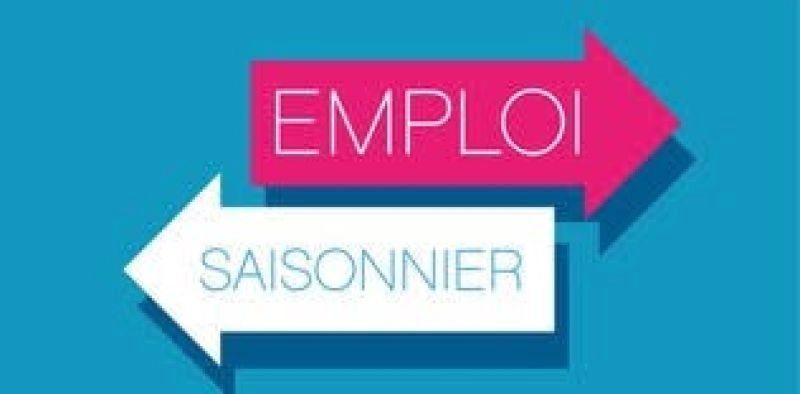 LES CONTRATS SAISONNIERS