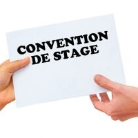 Stage en entreprise et quotas